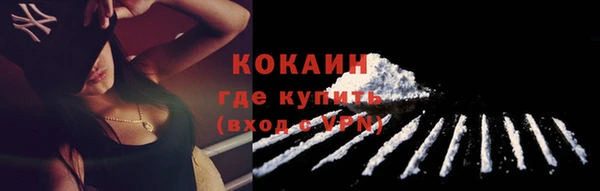 PSILOCYBIN Богданович