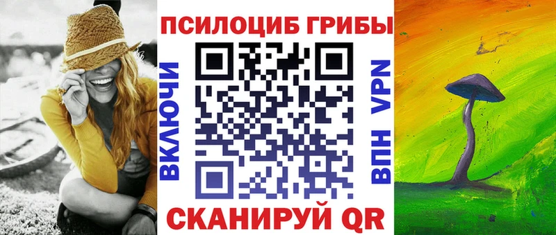 Купить где  Лесной  Псилоцибиновые грибы мухоморы 